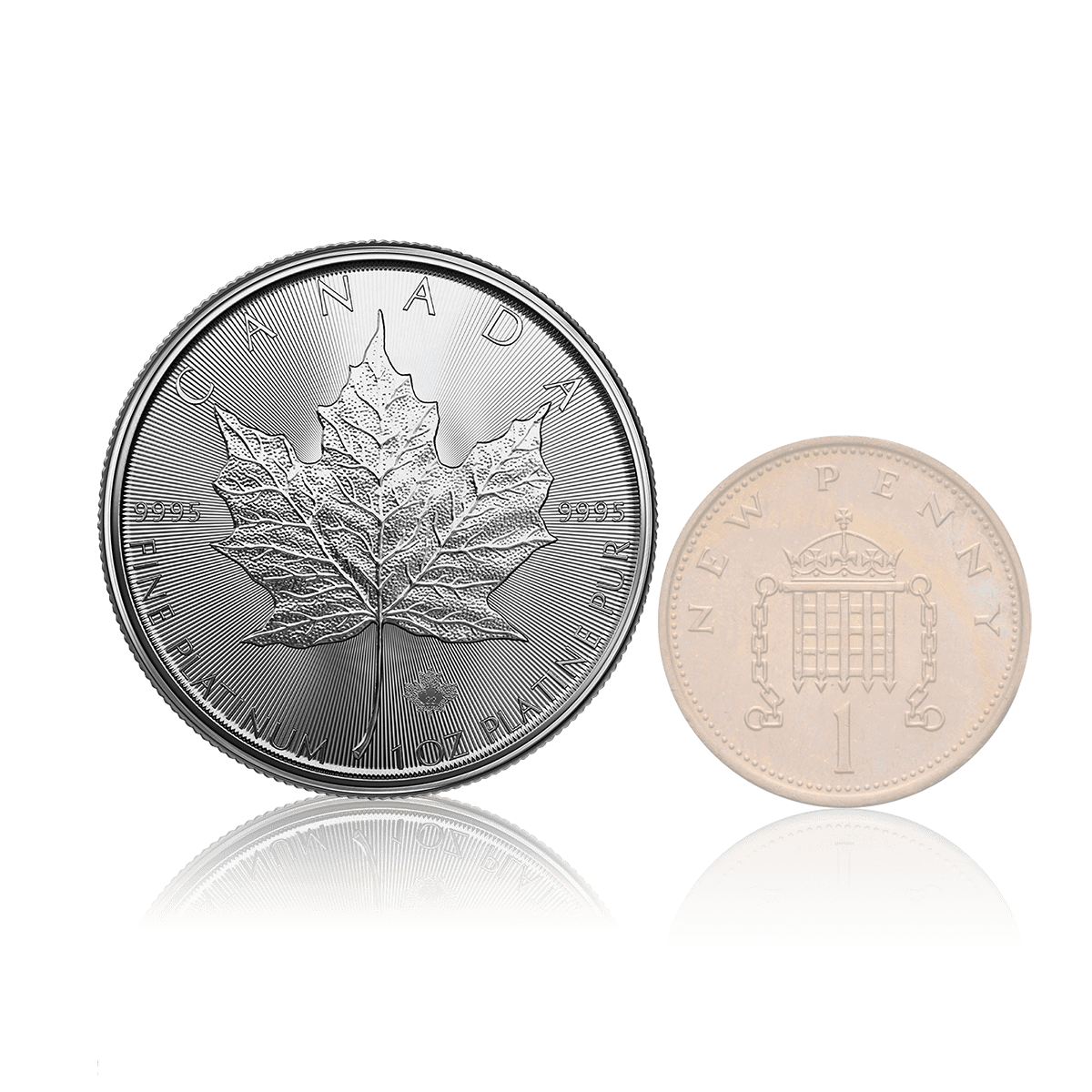 1oz Platinum Maple Leaf (2022) 5